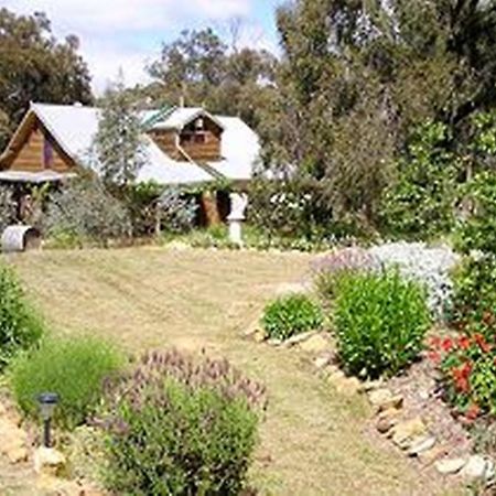 Moonbeam Cottages & Rainbow Cafe Moonambel 外观 照片